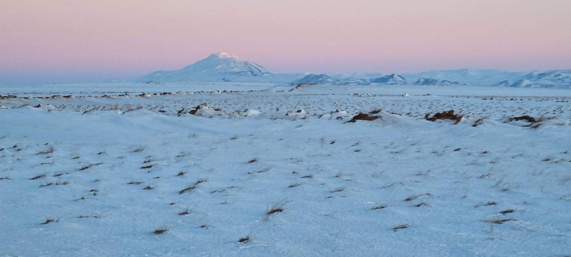 Hekla Cabin 1 Volcano And Glacier View Хелла Экстерьер фото
